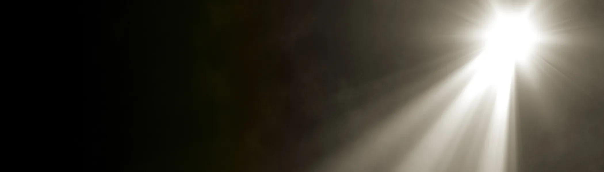 Spotlight 